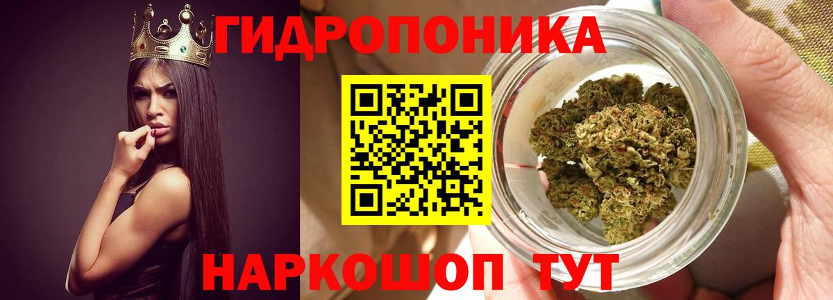 Шишки марихуана SATIVA & INDICA  Вход с VPN  Бошки Шишки индика  Канабис OG Kush  Азнакаево 